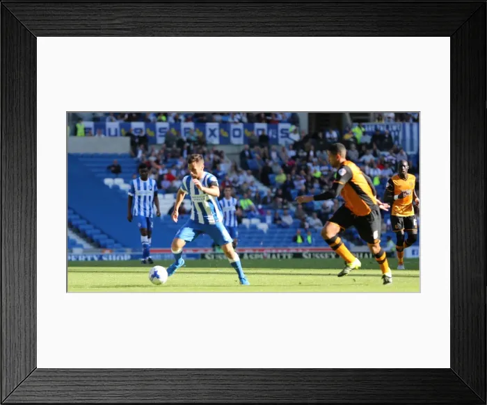 Framed Print : Brighton and Hove Albion vs. Hull City: Sky Bet Championship Showdown at American Express Community Stadium (September 12, 2015) Framed Print : Brighton and Hove Albion vs. Hull City: Sky Bet Championship Showdown at American Express Community Stadium (September 12, 2015)