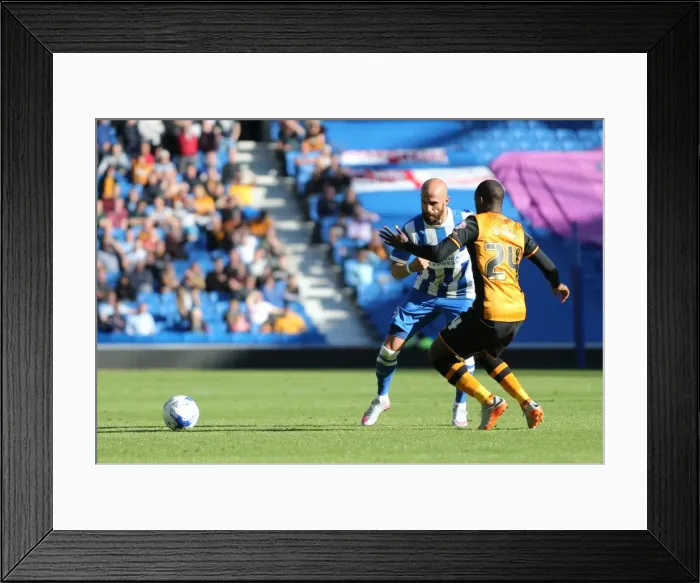 Framed Print : Brighton and Hove Albion vs. Hull City: Sky Bet Championship Showdown at American Express Community Stadium (September 12, 2015)
