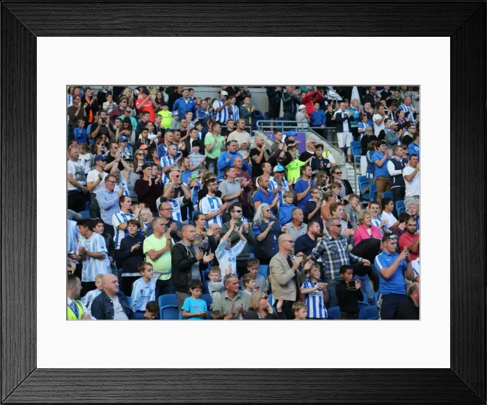 Framed Print : Brighton and Hove Albion vs. Hull City: Sky Bet Championship Showdown at American Express Community Stadium (September 12, 2015) Framed Print : Brighton and Hove Albion vs. Hull City: Sky Bet Championship Showdown at American Express Community Stadium (September 12, 2015)