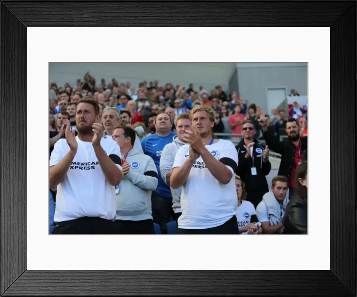 Framed Print : Brighton and Hove Albion vs. Hull City: Sky Bet Championship Showdown at American Express Community Stadium (September 12, 2015) Framed Print : Brighton and Hove Albion vs. Hull City: Sky Bet Championship Showdown at American Express Community Stadium (September 12, 2015)