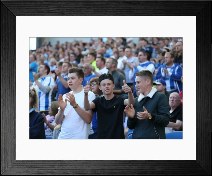 Framed Print : Brighton and Hove Albion vs. Hull City: Sky Bet Championship Showdown at American Express Community Stadium (September 12, 2015) Framed Print : Brighton and Hove Albion vs. Hull City: Sky Bet Championship Showdown at American Express Community Stadium (September 12, 2015)