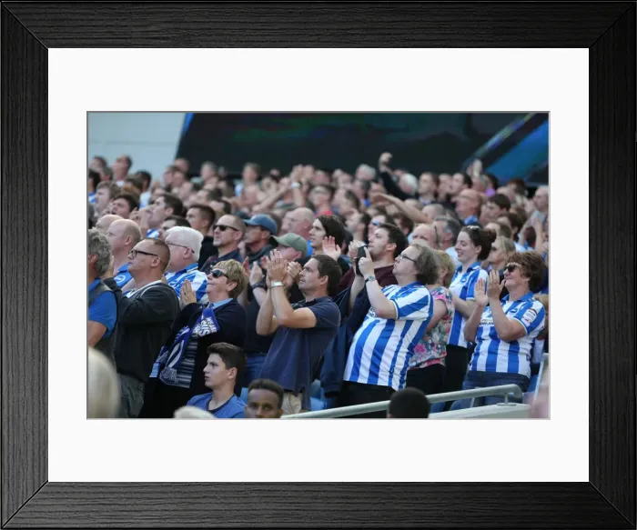 Framed Print : Brighton and Hove Albion vs. Hull City: Sky Bet Championship Showdown at American Express Community Stadium (September 12, 2015) Framed Print : Brighton and Hove Albion vs. Hull City: Sky Bet Championship Showdown at American Express Community Stadium (September 12, 2015)