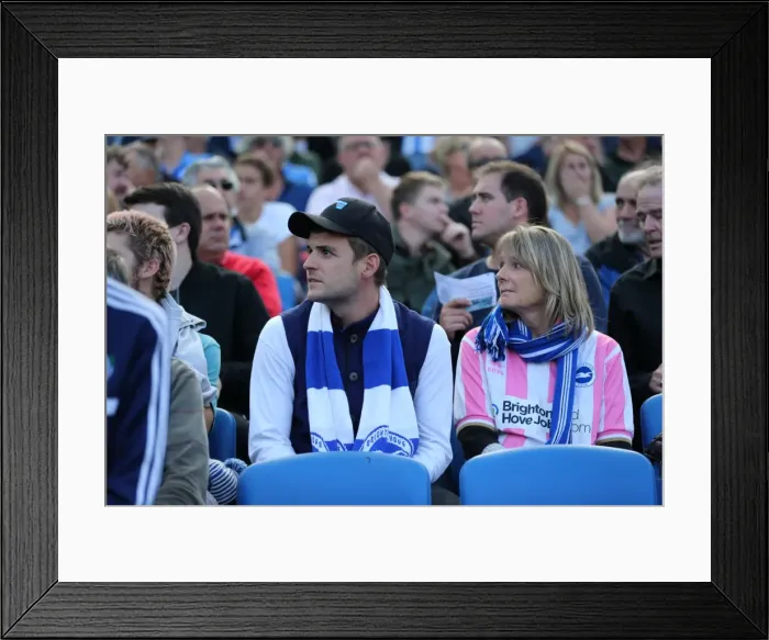 Framed Print : Brighton and Hove Albion vs. Hull City: Sky Bet Championship Showdown at American Express Community Stadium (September 12, 2015)