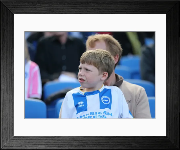 Framed Print : Brighton and Hove Albion vs. Hull City: Sky Bet Championship Showdown at American Express Community Stadium (September 12, 2015) Framed Print : Brighton and Hove Albion vs. Hull City: Sky Bet Championship Showdown at American Express Community Stadium (September 12, 2015)