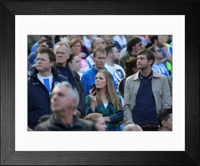 Framed Print : Brighton and Hove Albion vs Hull City: Sky Bet Championship Showdown at American Express Community Stadium (September 12, 2015) Framed Print : Brighton and Hove Albion vs Hull City: Sky Bet Championship Showdown at American Express Community Stadium (September 12, 2015)