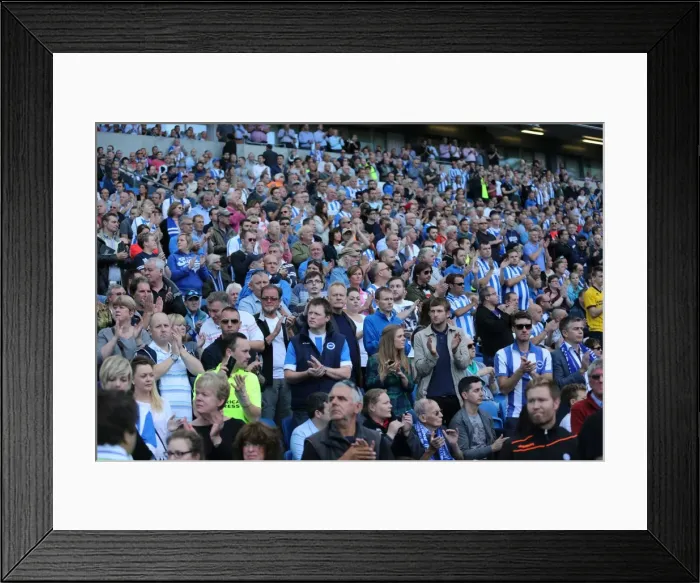Framed Print : Brighton and Hove Albion vs Hull City: Sky Bet Championship Showdown at American Express Community Stadium (September 12, 2015) Framed Print : Brighton and Hove Albion vs Hull City: Sky Bet Championship Showdown at American Express Community Stadium (September 12, 2015)