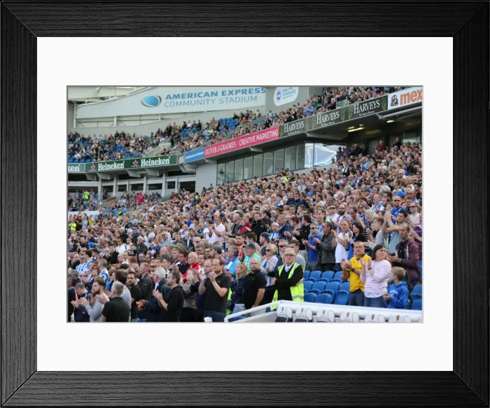 Framed Print : Brighton and Hove Albion vs Hull City: Sky Bet Championship Showdown at American Express Community Stadium (September 12, 2015) Framed Print : Brighton and Hove Albion vs Hull City: Sky Bet Championship Showdown at American Express Community Stadium (September 12, 2015)