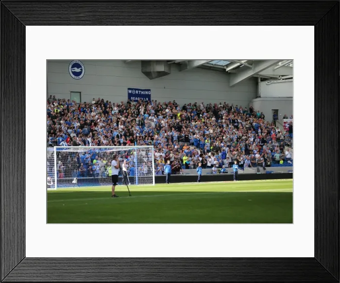 Framed Print : Brighton and Hove Albion vs. Hull City: Sky Bet Championship Showdown at American Express Community Stadium (September 12, 2015)
