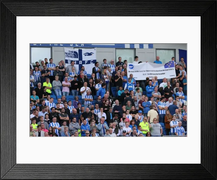 Framed Print : Brighton and Hove Albion vs. Hull City: Sky Bet Championship Showdown at American Express Community Stadium (September 12, 2015)