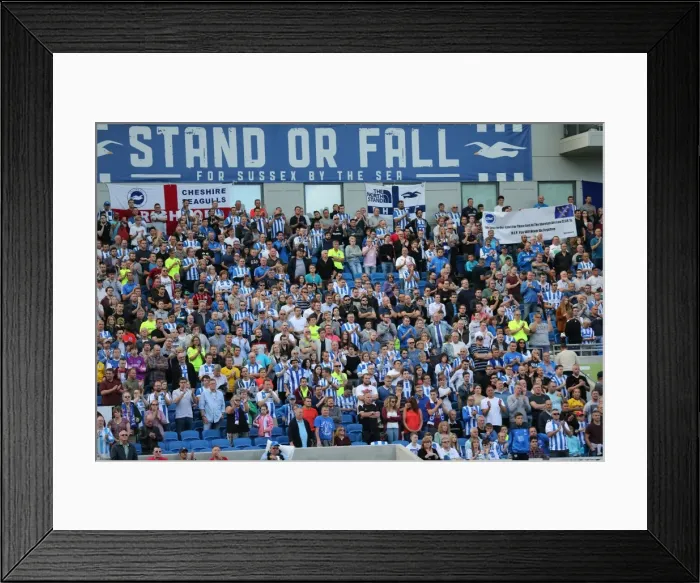 Framed Print : Brighton and Hove Albion vs. Hull City: Sky Bet Championship Showdown at American Express Community Stadium (September 12, 2015) Framed Print : Brighton and Hove Albion vs. Hull City: Sky Bet Championship Showdown at American Express Community Stadium (September 12, 2015)