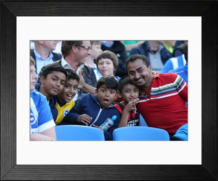 Framed Print : Brighton and Hove Albion vs. Hull City: Sky Bet Championship Showdown at American Express Community Stadium (September 12, 2015) Framed Print : Brighton and Hove Albion vs. Hull City: Sky Bet Championship Showdown at American Express Community Stadium (September 12, 2015)