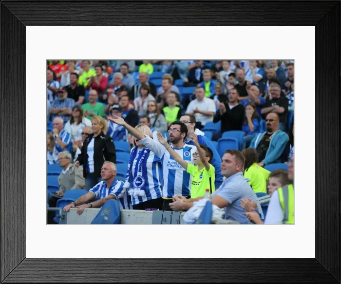 Framed Print : Brighton and Hove Albion vs. Hull City: Sky Bet Championship Showdown at American Express Community Stadium (September 12, 2015) Framed Print : Brighton and Hove Albion vs. Hull City: Sky Bet Championship Showdown at American Express Community Stadium (September 12, 2015)
