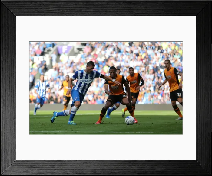 Framed Print : Brighton and Hove Albion vs Hull City: Sky Bet Championship Showdown at American Express Community Stadium (September 12, 2015) Framed Print : Brighton and Hove Albion vs Hull City: Sky Bet Championship Showdown at American Express Community Stadium (September 12, 2015)