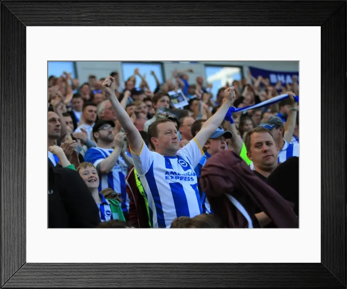 Framed Print : Brighton and Hove Albion vs Hull City: Electric Atmosphere in the Stands during Sky Bet Championship Match, September 2015 Framed Print : Brighton and Hove Albion vs Hull City: Electric Atmosphere in the Stands during Sky Bet Championship Match, September 2015