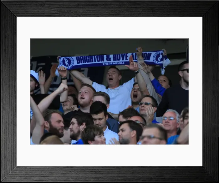 Framed Print : Brighton and Hove Albion vs Hull City: Electric Atmosphere in the Stands during Sky Bet Championship Match, September 2015