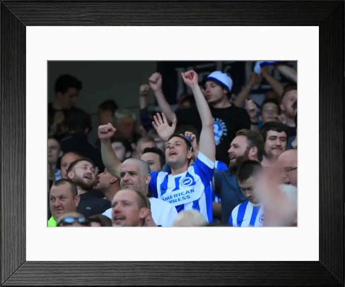 Framed Print : Brighton and Hove Albion vs Hull City: A Sea of Passionate Fans in the Sky Bet Championship Match, September 2015 Framed Print : Brighton and Hove Albion vs Hull City: A Sea of Passionate Fans in the Sky Bet Championship Match, September 2015