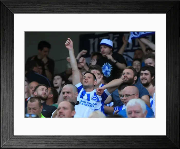 Framed Print : Brighton and Hove Albion vs Hull City: A Sea of Passionate Fans in the Sky Bet Championship Clash, September 2015 Framed Print : Brighton and Hove Albion vs Hull City: A Sea of Passionate Fans in the Sky Bet Championship Clash, September 2015