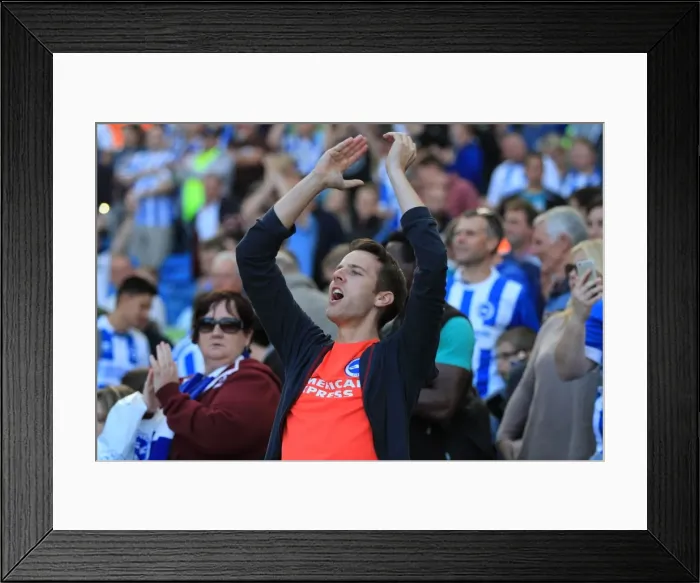 Framed Print : Brighton and Hove Albion vs Hull City: A Sea of Passionate Fans during the Sky Bet Championship Match, September 2015 Framed Print : Brighton and Hove Albion vs Hull City: A Sea of Passionate Fans during the Sky Bet Championship Match, September 2015