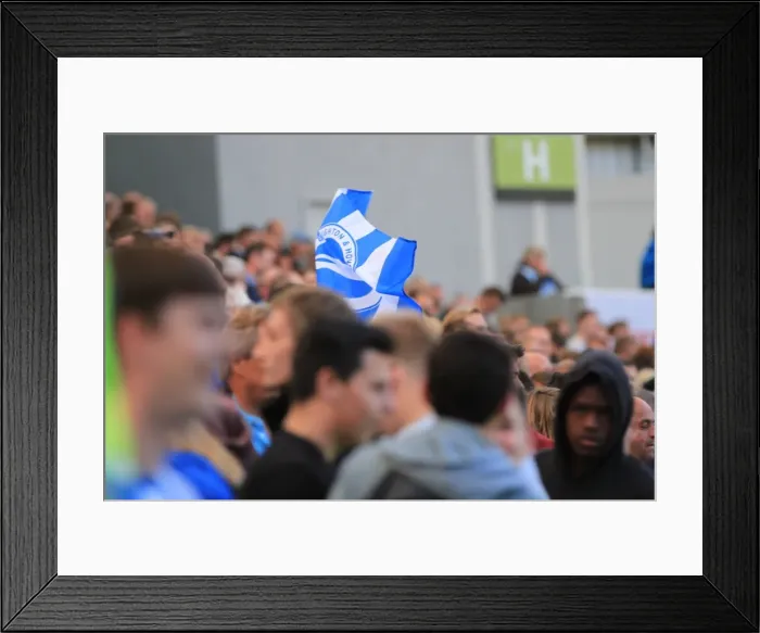 Framed Print : Brighton and Hove Albion vs Hull City: Electric Atmosphere in the Stands during the Sky Bet Championship Match, September 2015 Framed Print : Brighton and Hove Albion vs Hull City: Electric Atmosphere in the Stands during the Sky Bet Championship Match, September 2015