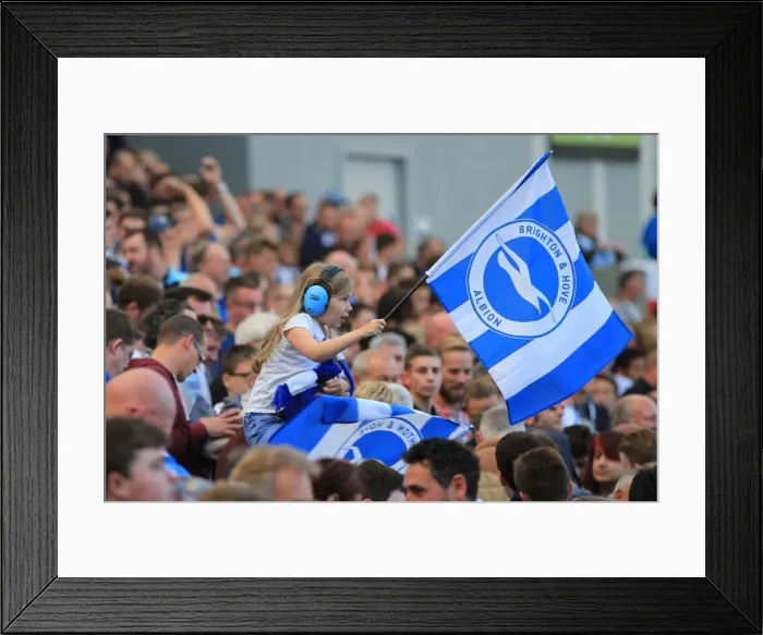 Framed Print : Brighton and Hove Albion vs Hull City: Electric Fan Atmosphere at the American Express Community Stadium (September 2015) Framed Print : Brighton and Hove Albion vs Hull City: Electric Fan Atmosphere at the American Express Community Stadium (September 2015)