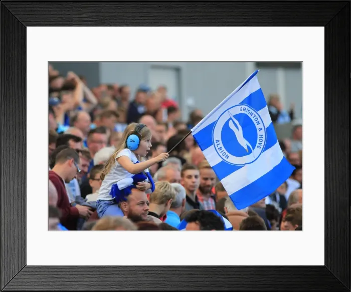 Framed Print : Brighton and Hove Albion vs Hull City: Electric Atmosphere in the Stands during the Sky Bet Championship Match (12th September 2015) Framed Print : Brighton and Hove Albion vs Hull City: Electric Atmosphere in the Stands during the Sky Bet Championship Match (12th September 2015)