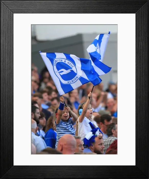 Framed Print : Brighton and Hove Albion vs Hull City: Fans Passionate Showdown in the Sky Bet Championship (12th September 2015)