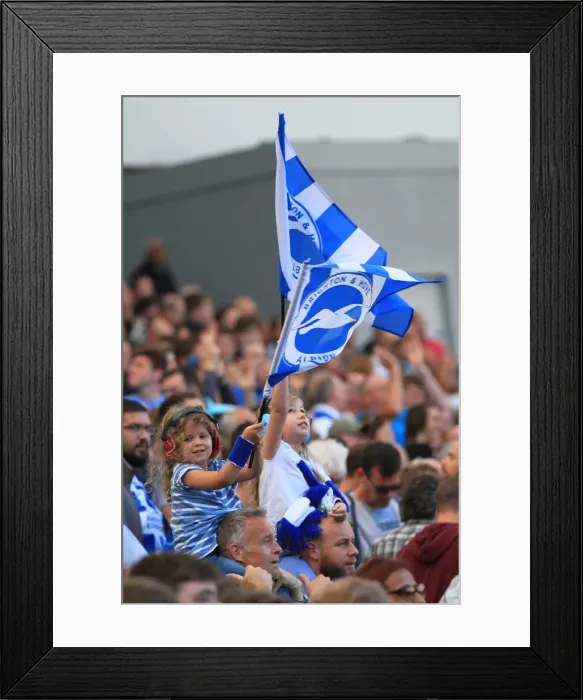 Framed Print : Passionate Brighton and Hove Albion Fans in the Stands during Sky Bet Championship Match vs Hull City, September 2015 Framed Print : Passionate Brighton and Hove Albion Fans in the Stands during Sky Bet Championship Match vs Hull City, September 2015