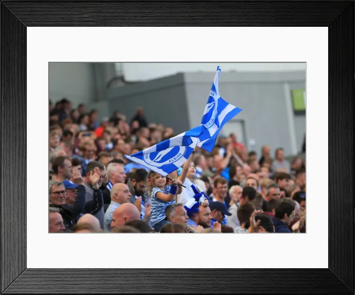 Framed Print : Brighton and Hove Albion vs Hull City: A Sea of Passionate Fans in the Sky Bet Championship Clash, September 2015 Framed Print : Brighton and Hove Albion vs Hull City: A Sea of Passionate Fans in the Sky Bet Championship Clash, September 2015