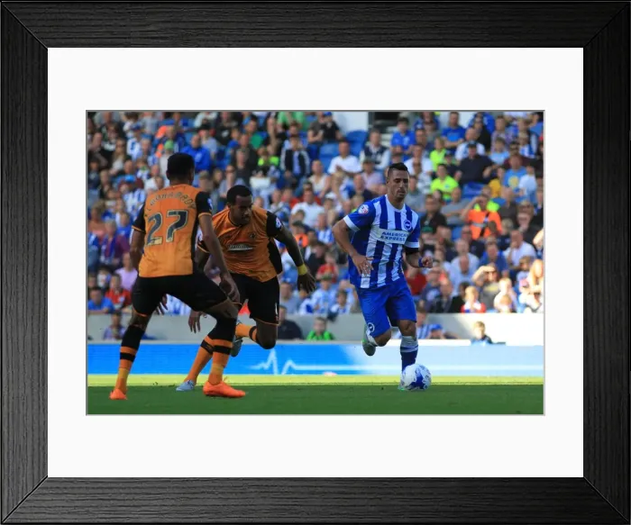 Framed Print : Brighton & Hove Albion: Bram Kanay Charges Forward in Sky Bet Championship Clash Against Hull City (12th September 2015) Framed Print : Brighton & Hove Albion: Bram Kanay Charges Forward in Sky Bet Championship Clash Against Hull City (12th September 2015)