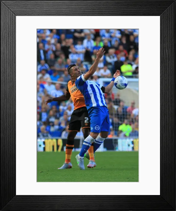 Framed Print : Brighton & Hove Albion: Bram Kanay Controls the Ball Amidst Championship Action vs. Hull City (12th September 2015) Framed Print : Brighton & Hove Albion: Bram Kanay Controls the Ball Amidst Championship Action vs. Hull City (12th September 2015)