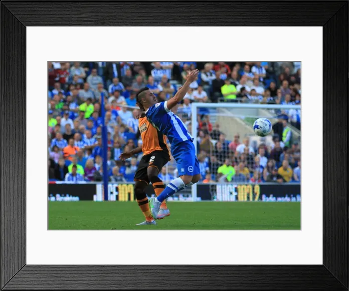Framed Print : Brighton & Hove Albion: Bram Kanay's Moment of Control in Championship Clash vs. Hull City (September 12, 2015) Framed Print : Brighton & Hove Albion: Bram Kanay's Moment of Control in Championship Clash vs. Hull City (September 12, 2015)