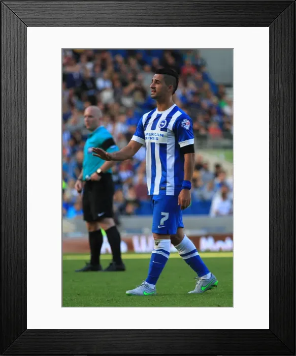 Framed Print : Brighton & Hove Albion's Beram Kayal Expresses Emotion During Championship Clash vs. Hull City (12SEP15) Framed Print : Brighton & Hove Albion's Beram Kayal Expresses Emotion During Championship Clash vs. Hull City (12SEP15)