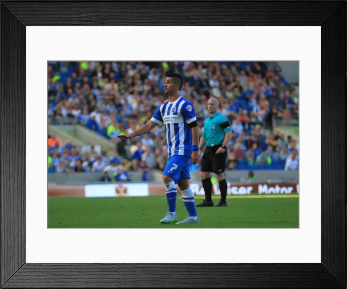 Framed Print : Brighton & Hove Albion's Beram Kayal Scores in Championship Clash vs. Hull City (12SEP15) Framed Print : Brighton & Hove Albion's Beram Kayal Scores in Championship Clash vs. Hull City (12SEP15)