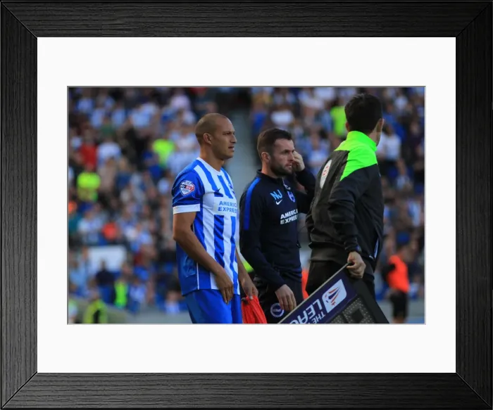 Framed Print : Bobby Zamora on the Sidelines: Brighton and Hove Albion vs. Hull City, Sky Bet Championship 2015 Framed Print : Bobby Zamora on the Sidelines: Brighton and Hove Albion vs. Hull City, Sky Bet Championship 2015