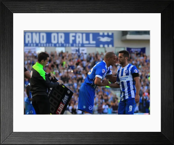 Framed Print : Brighton & Hove Albion: Bobby Zamora Welcomes Sam Baldock as a Substitute Against Hull City (07 / 08 / 2015)