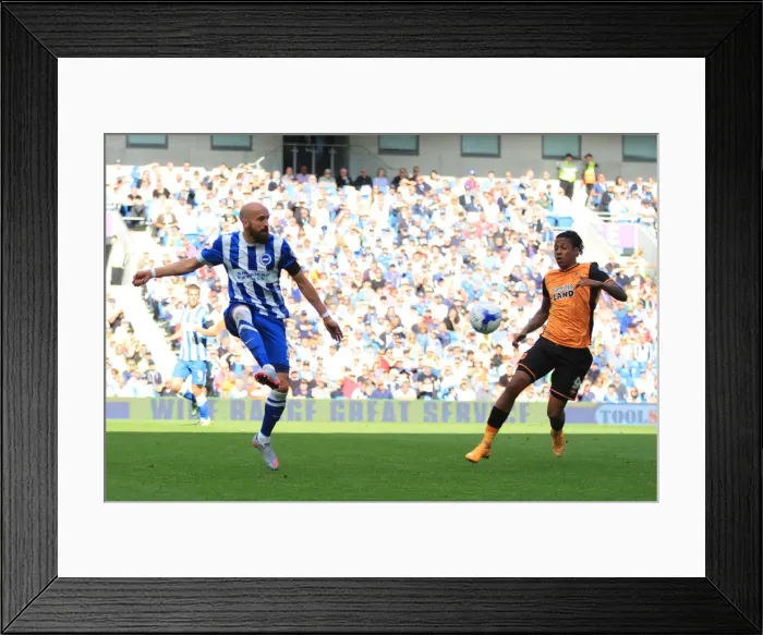 Framed Print : Bruno Saltor Clears the Ball: Brighton and Hove Albion vs. Hull City, Sky Bet Championship 2015