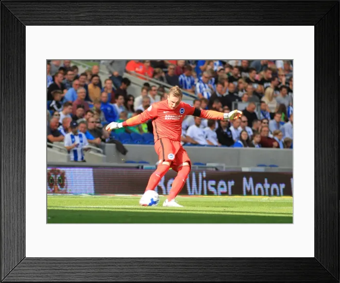 Framed Print : Brighton & Hove Albion: David Stockdale in Action against Hull City (Sky Bet Championship 2015)