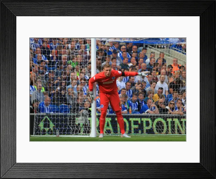 Framed Print : David Stockdale Focused: Brighton and Hove Albion vs Hull City, Sky Bet Championship 2015 Framed Print : David Stockdale Focused: Brighton and Hove Albion vs Hull City, Sky Bet Championship 2015