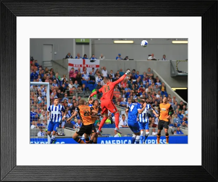 Framed Print : David Stockdale's Dramatic Save: Brighton and Hove Albion vs. Hull City, Sky Bet Championship 2015