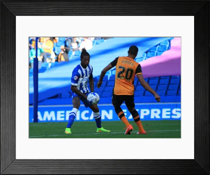 Framed Print : Gaetan Bong Blocks Hull City's Isaac Hayden: Brighton and Hove Albion vs Hull City, Sky Bet Championship 2015