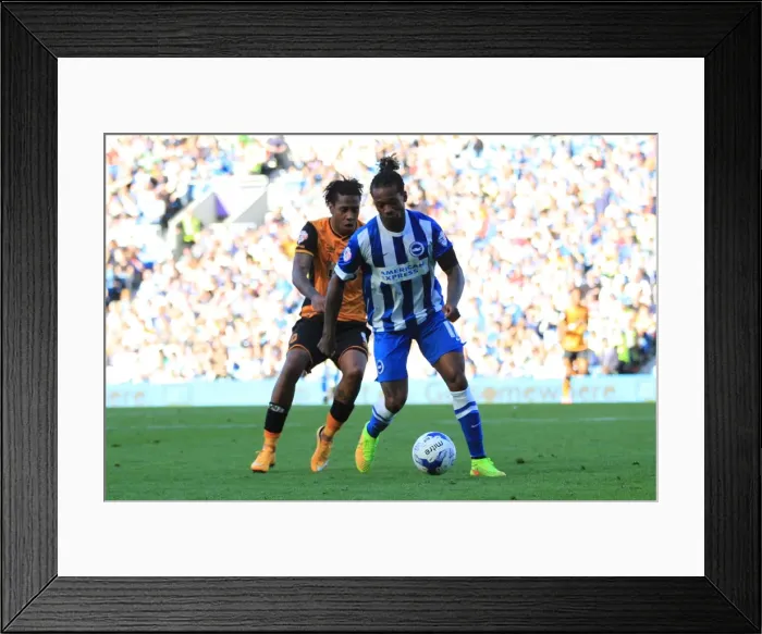 Framed Print : Gaetan Bong Defends for Brighton and Hove Albion Against Hull City, Sky Bet Championship 2015 Framed Print : Gaetan Bong Defends for Brighton and Hove Albion Against Hull City, Sky Bet Championship 2015