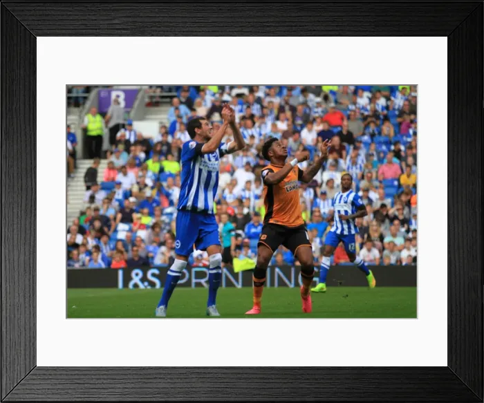 Framed Print : Brighton & Hove Albion vs. Hull City: A Battle for the Ball - Greer vs. Akpom (Sky Bet Championship, 12th September 2015) Framed Print : Brighton & Hove Albion vs. Hull City: A Battle for the Ball - Greer vs. Akpom (Sky Bet Championship, 12th September 2015)