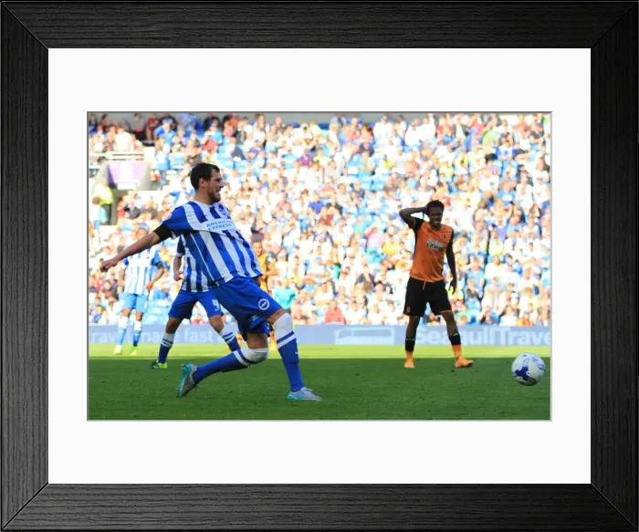 Framed Print : Gordon Greer in Action: Brighton and Hove Albion vs. Hull City, Sky Bet Championship 2015 Framed Print : Gordon Greer in Action: Brighton and Hove Albion vs. Hull City, Sky Bet Championship 2015