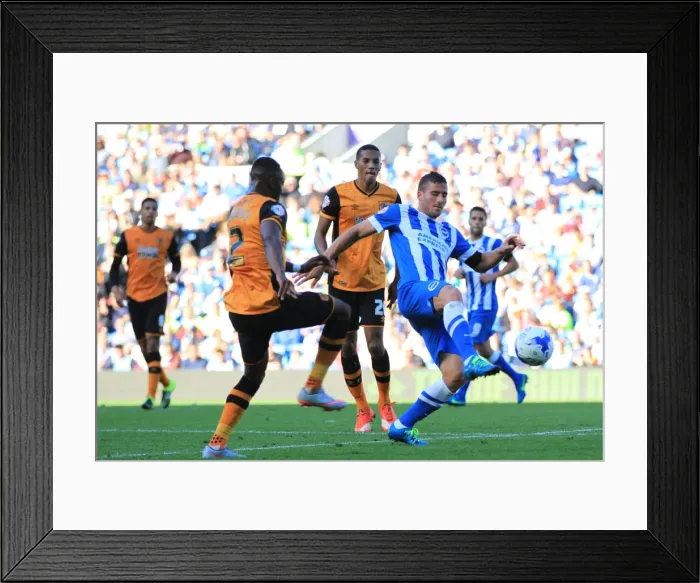 Framed Print : Tomer Hemed in Action: Brighton and Hove Albion vs. Hull City, Sky Bet Championship 2015