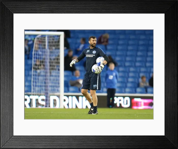Framed Print : Brighton and Hove Albion v Rotherham United Sky Bet Championship 15 / 09 / 2015 Framed Print : Brighton and Hove Albion v Rotherham United Sky Bet Championship 15 / 09 / 2015