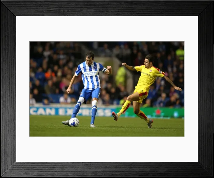 Framed Print : Brighton and Hove Albion vs Rotherham United: Sky Bet Championship Showdown at American Express Community Stadium (September 15, 2015) Framed Print : Brighton and Hove Albion vs Rotherham United: Sky Bet Championship Showdown at American Express Community Stadium (September 15, 2015)