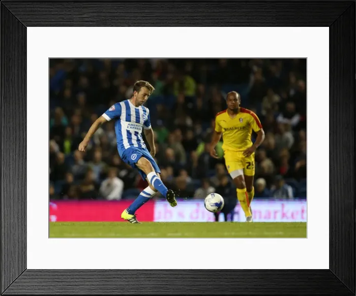 Framed Print : Brighton and Hove Albion vs. Rotherham United: Sky Bet Championship Showdown at American Express Community Stadium (September 15, 2015) Framed Print : Brighton and Hove Albion vs. Rotherham United: Sky Bet Championship Showdown at American Express Community Stadium (September 15, 2015)