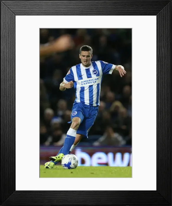 Framed Print : Brighton and Hove Albion vs Rotherham United: Sky Bet Championship Showdown at American Express Community Stadium (September 15, 2015) Framed Print : Brighton and Hove Albion vs Rotherham United: Sky Bet Championship Showdown at American Express Community Stadium (September 15, 2015)