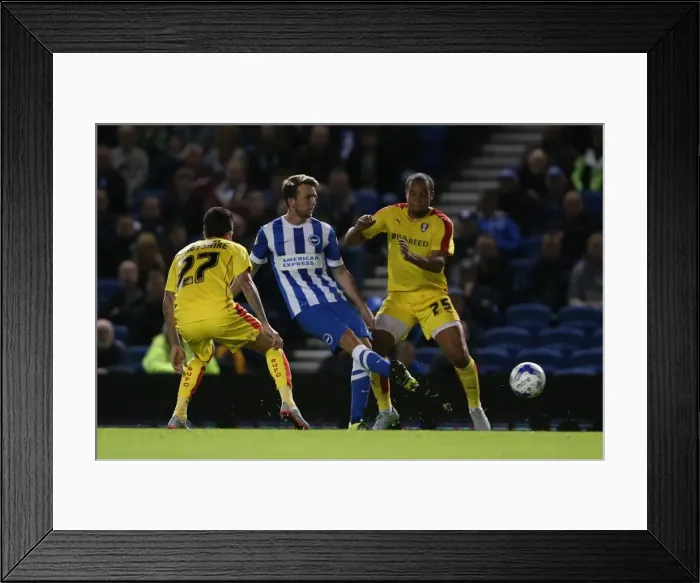 Framed Print : Brighton and Hove Albion vs Rotherham United: Sky Bet Championship Showdown at American Express Community Stadium (September 15, 2015) Framed Print : Brighton and Hove Albion vs Rotherham United: Sky Bet Championship Showdown at American Express Community Stadium (September 15, 2015)