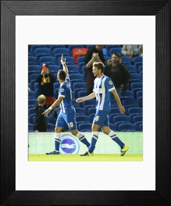Framed Print : Brighton and Hove Albion vs Rotherham United: Sky Bet Championship Showdown at American Express Community Stadium (September 15, 2015) Framed Print : Brighton and Hove Albion vs Rotherham United: Sky Bet Championship Showdown at American Express Community Stadium (September 15, 2015)